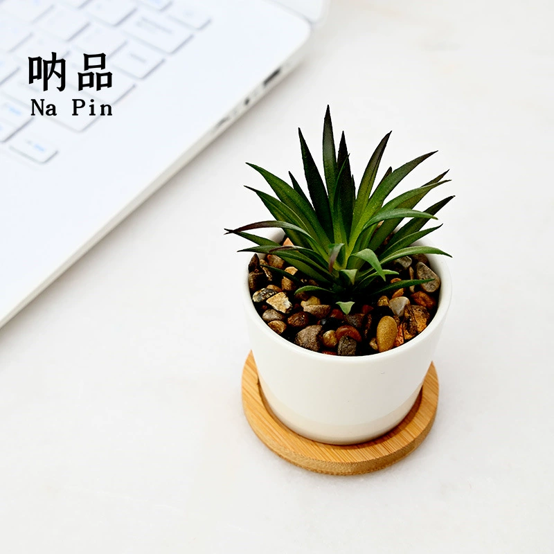 Продукция NA экспорт керамический мясистый цветочный горшок для большого пальца белый фарфор косой небольшой цветочный горшок трансграничный для прямых продаж с фабрики