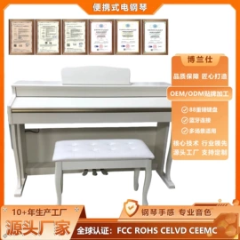 键盘类乐器;乐器配件