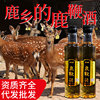 Fawn The wine 500ml Tonic Paojiu material Deer Wolfberry Polygonatum Manufactor Source of goods wholesale Fast Same item