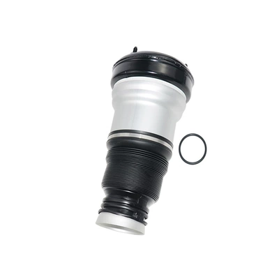 Absorber Repair Kit, Air – damping system