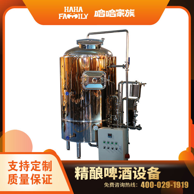 精酿啤酒发酵罐 生产鲜啤的机器 精酿啤酒发酵罐 精酿啤酒技术
