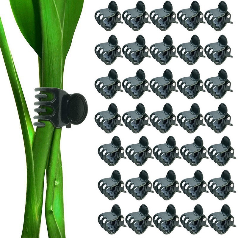 跨境园林植物花卉固定夹绑蔓夹支架配套夹迷你发夹塑料蜻蜓蝴蝶夹