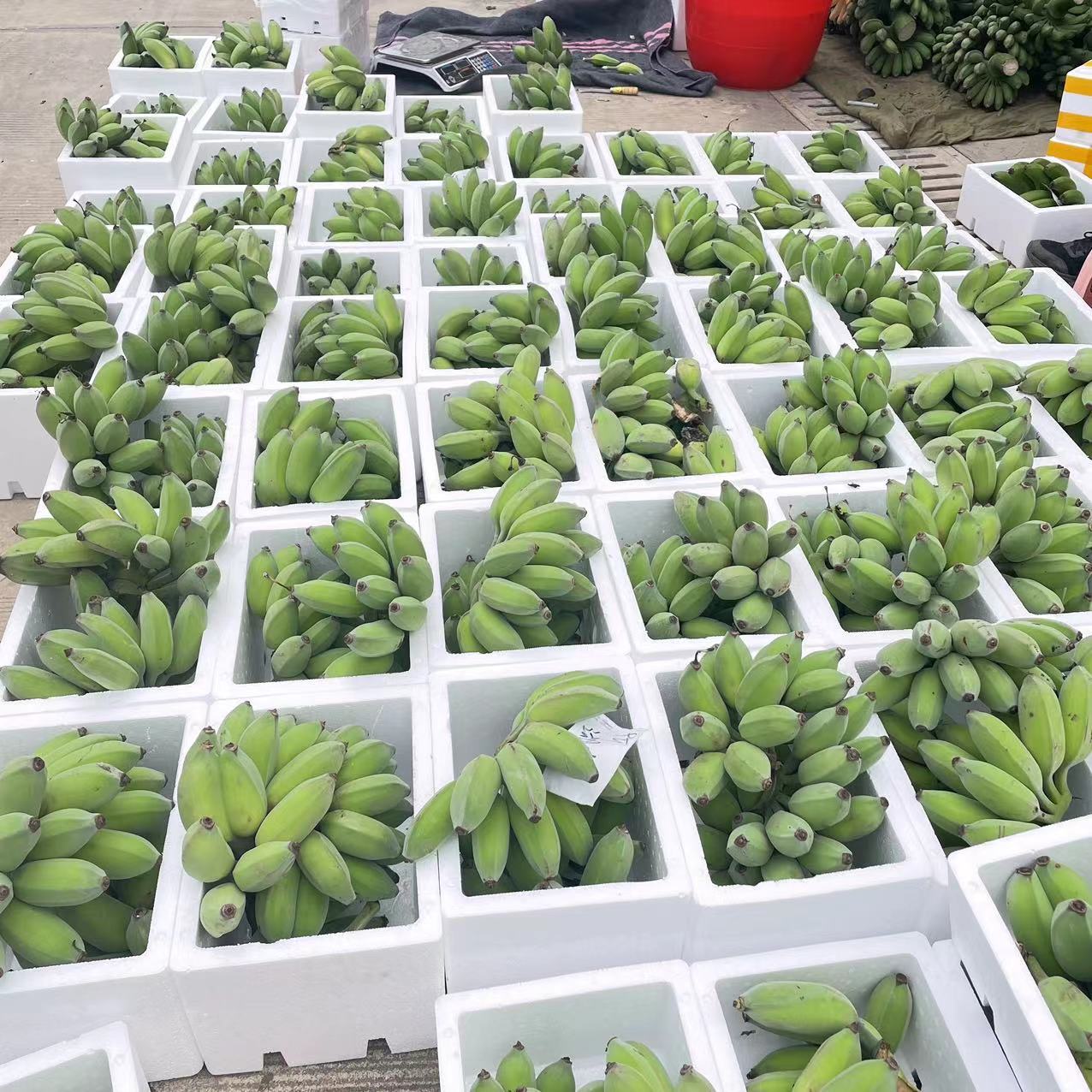 微信图片_20230512101827