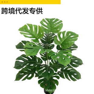 �羳����Gֲ�����������~�٘��~�Ҿӻ�c�쾰�bS�����l