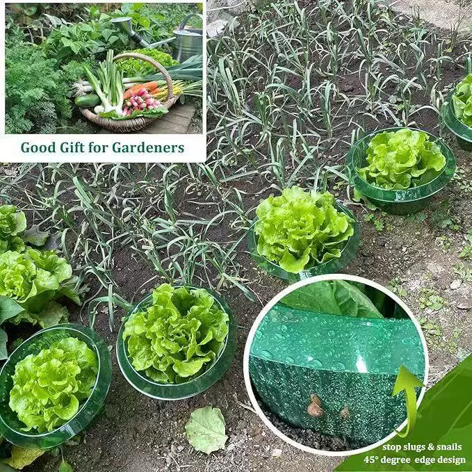 Snails, plastic round flowerpot, material, protective plant lamp, increased thickness
