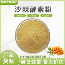 ɳ�����ط� ɳ������ ˮ�� ���w��� ɳ������ 1KG�� ���]