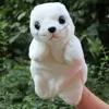 Little seal