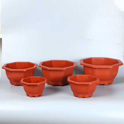 Potted green plant pot with succulent, orchid, and bamboo plants, breathable and root-controlling, thick plastic flower pot, factory wholesale, octagonal pot