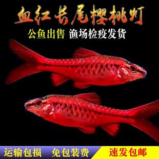 �Lβ���ҟ��~Ѫ�t���ҟ����~�Ꭷ�^�p�~�ݸ�С�͟����~��ˮ���w