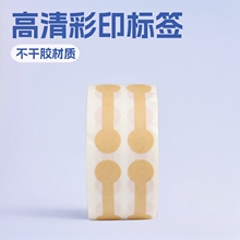 �F؛�錚��ָ�˺��N500�N/���ֹ����������z�˺��N