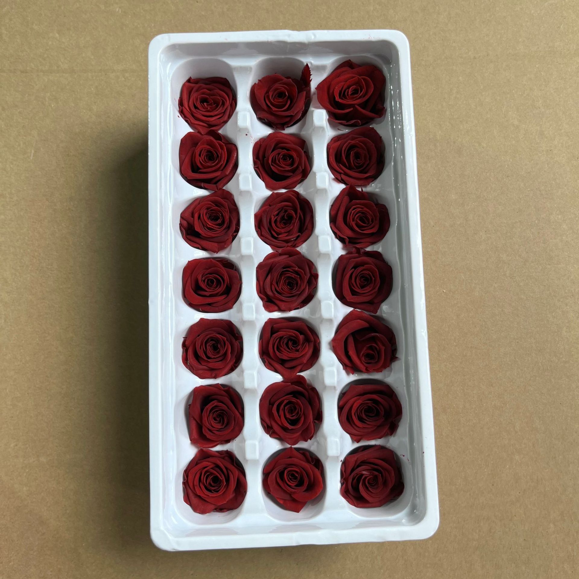 Grado B rojo oscuro 2-3cm/caja de 21 flores
