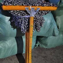 �Ԯa���N ľ�|�޾��ϰ� �Ӻ�ľ�^�ղ� ���޾��{�׾� �WУ���S