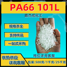 PA66 101L ֬ ܇I 500g/