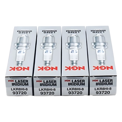 Binyue Dihao Vision burner, Alışdırma şamı (Sveçalar)