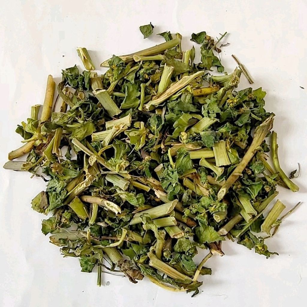 Ze Qi Dried Herb Slices 500g Traditional Chinese Herbal Tea Material Euphorbia helioscopia in use