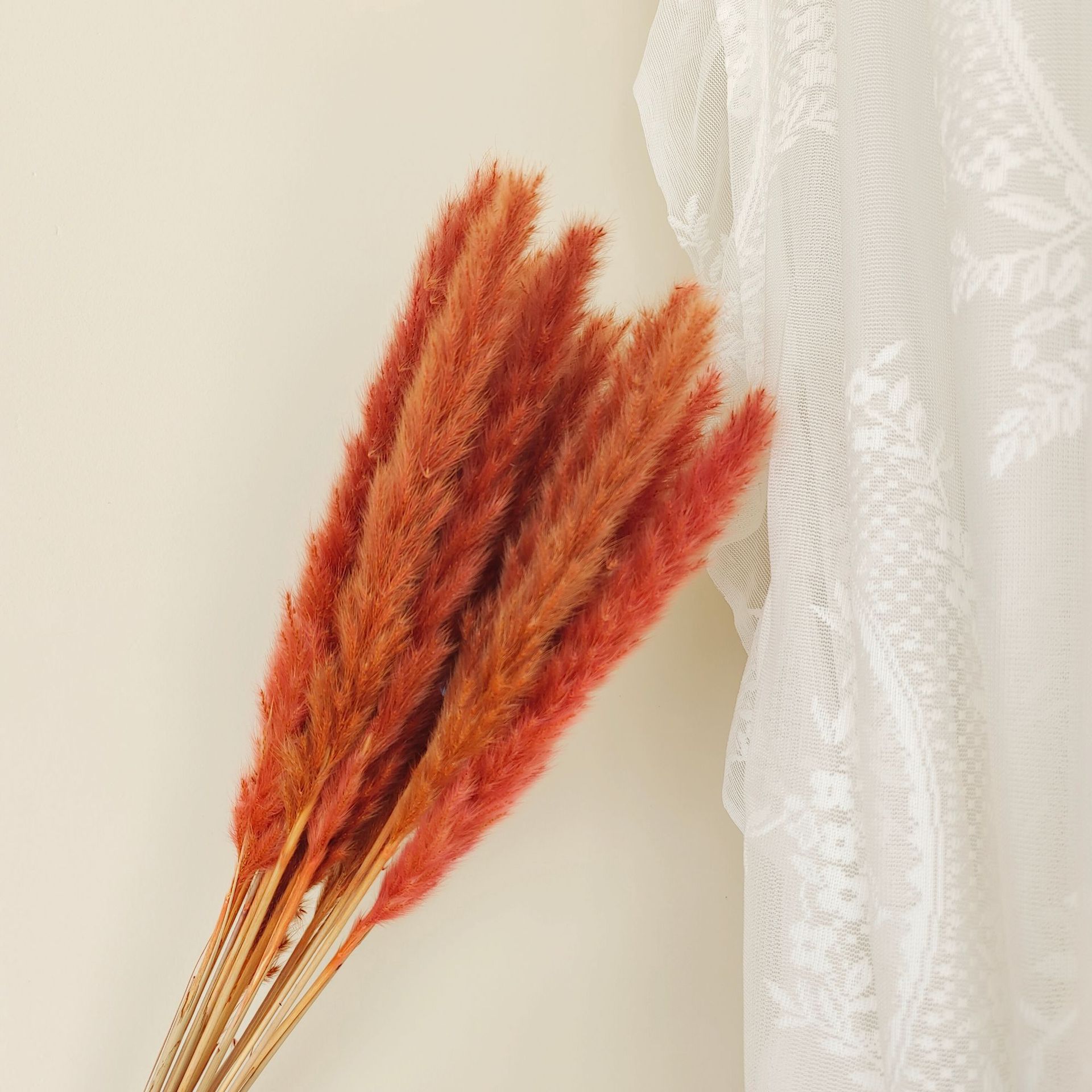 카라멜색 가지 15개