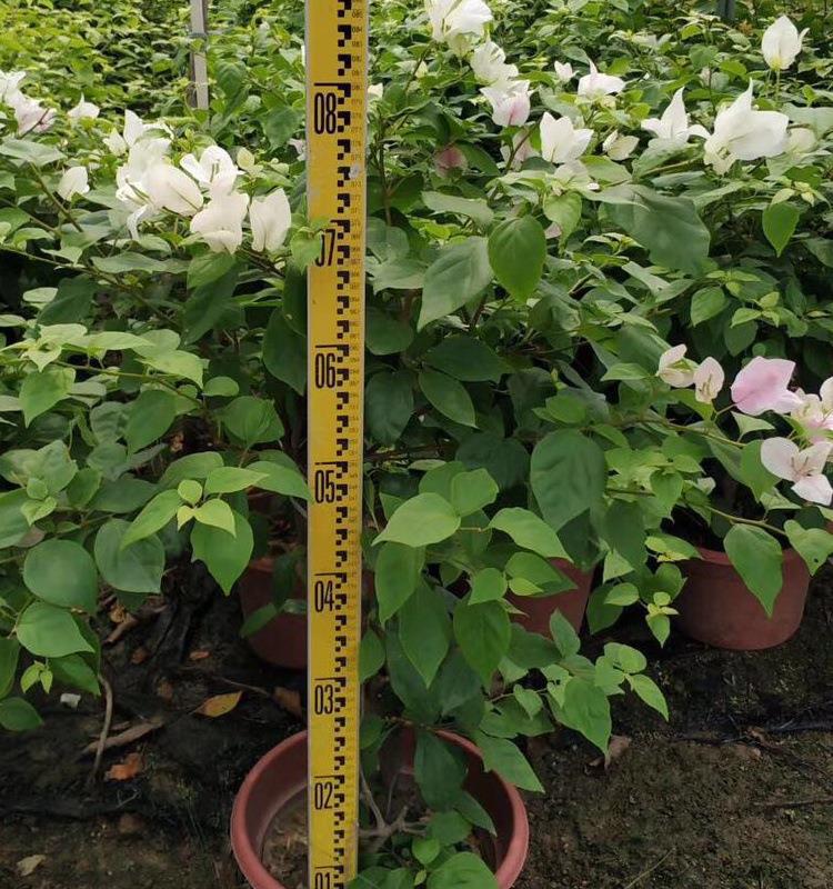 微信图片_20190814100338_看图王