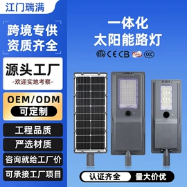 太阳能灯;路灯;道路照明灯