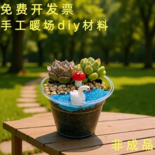 大口 多肉苔藓diy微景观生态瓶绿植物种植材料包组合套装暖场活动