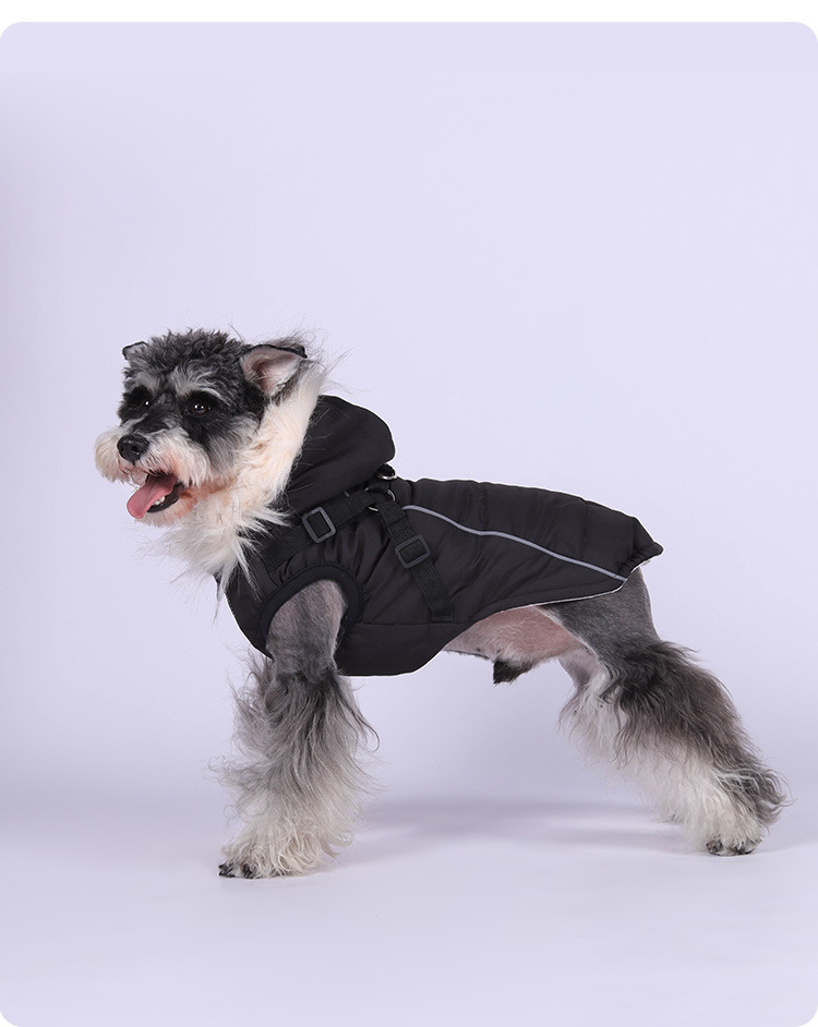 Casaco de inverno para cães acolchoado impermeável com capuz_voghion.com