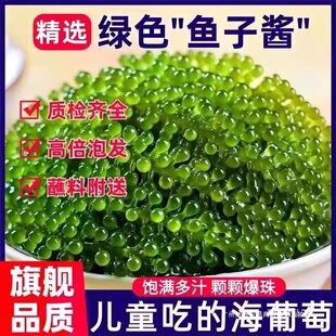 ���������r��ʳ�ݰl�}�n�����߲�ֲ���~���u���厧�˃�ͯ�����I�B