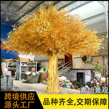 ������ͽ��Ř�����S�ֲ���S���t�����̈��Ƶ����u�X��