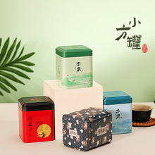 迷你铁盒小方形茶叶罐随身携带密封欧式田园风茶叶包装盒马口铁罐