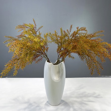 ��֦��ᘷ���ֲ��Gֲ�辰��ɫ����ܛ�b���ļҾ��b��L֧���T��