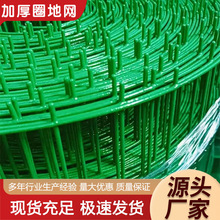荷兰网罂粟铁丝网圈地养殖网户外护栏绿色硬塑6厘米孔包塑养鸡 网