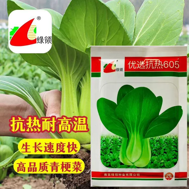 Термостойкие 605 Семена Овощных Культур Летние Термостойкие Семена Овощей Мелкие Овощи Шанхай Зеленые Семена Термостойкие Высокоурожайные Рапс