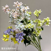 ���滨���m���l�������㻨��֦���㻨��c�Ż�ܛ�b�����߼��мٻ�