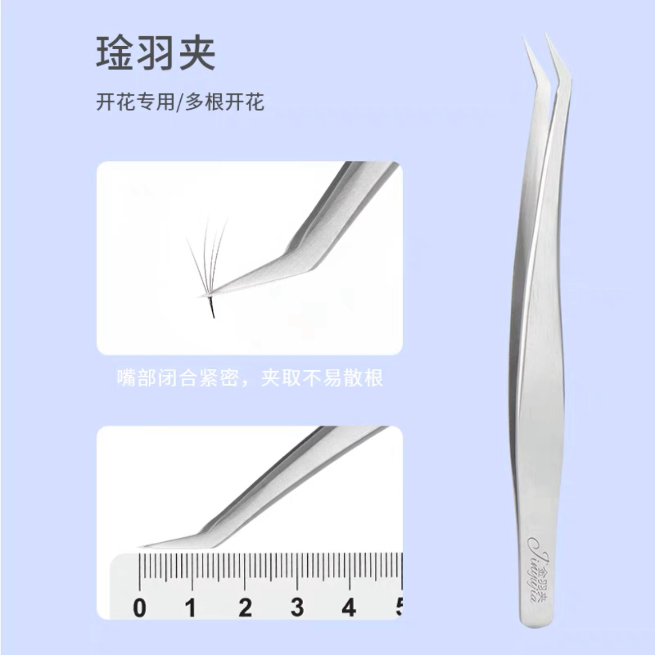 金鱼