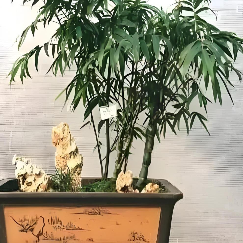 1c2445b4-9577-4992-84e8-4a4813014f1e.jpe