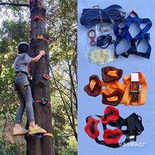 ��ͯ���ˑ������Ҡ������c�҃ȼ�������֧�c�ʘ����cץ�֏S��ֱ�N