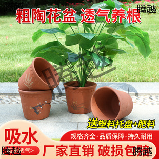 �t�ջ����մɴ�����ˮ����ݮ�绨�����С̖��ʽ�����踡