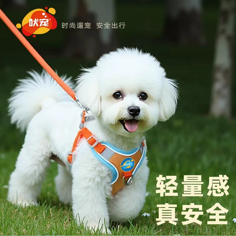 Собачий поводок Светоотражающие нагрудные ремешки Маленькая собака Теди Коркиби Медведь выгул Собака поводок Собачий Цепь