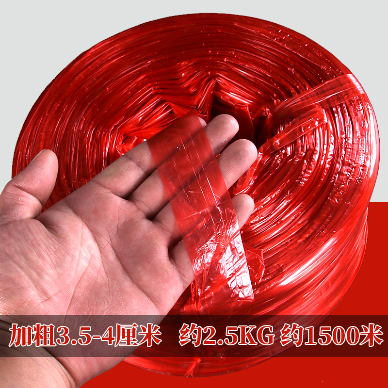 볼드 레드 롤(핫 세일)