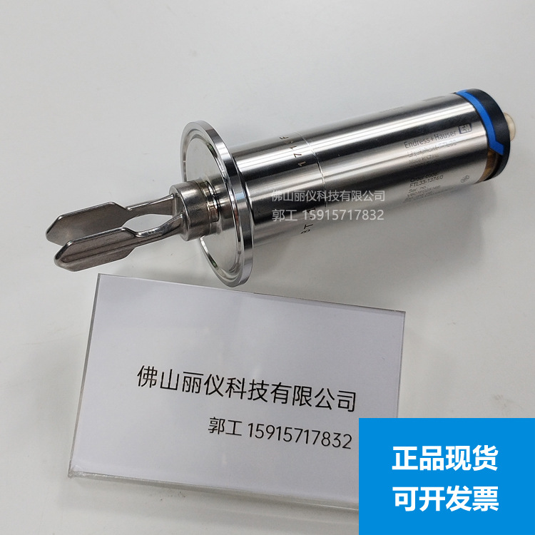 E+H音叉液位开关FTL33-AA4M3AB3CJ FTL20 FTL33-1374/0 FTL31