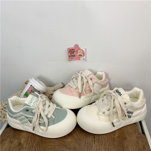 2024¿׌WЬnٴСЬŮA^ֱЬ