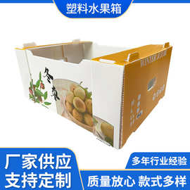 钙塑箱塑料水果打包箱PP中空板箱蔬菜运输钙塑箱瓦楞万通板周转箱