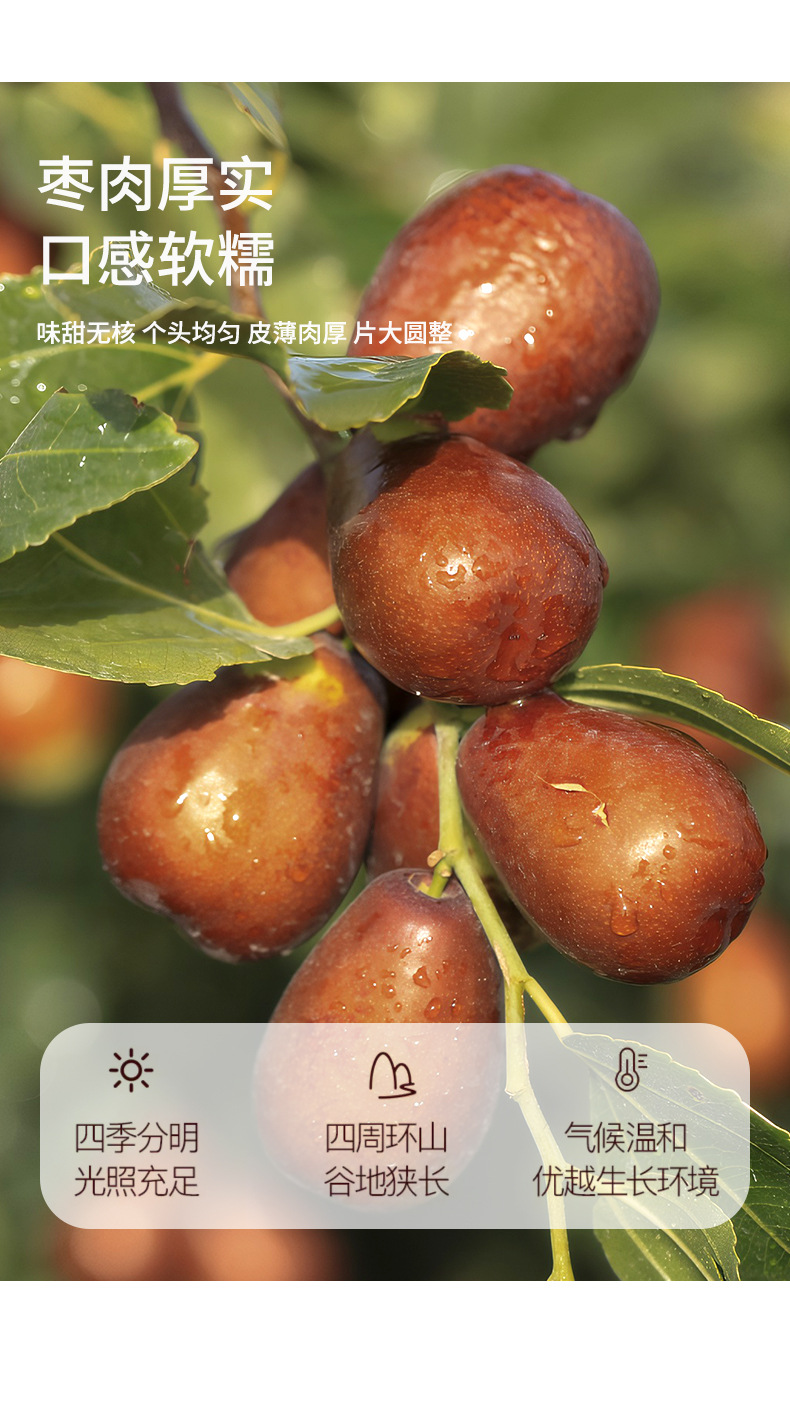 Dried Red Date Slices Hong Zao Pitted Jujube Chips for Tea and Snacking 200g Jar quality and texture