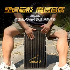 打击类乐器;弹拨类乐器;其他乐器