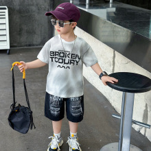 男童夏装短袖套装2025新款儿童夏季洋气时髦衣服帅宝宝夏日两件套