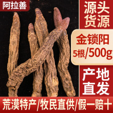 �a�ش������l���ɹŃ��x���iꖮ��ػ�Į�r�aƷ�����i�5��1��