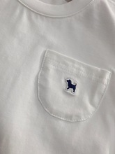 原D韓版夏季男女寶寶白色圓領短袖T恤簡約背心一件代發童裝