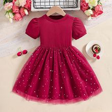 女童连衣裙2025新款儿童夏季礼服宝宝洋气芭蕾舞网纱蓬蓬裙公主风