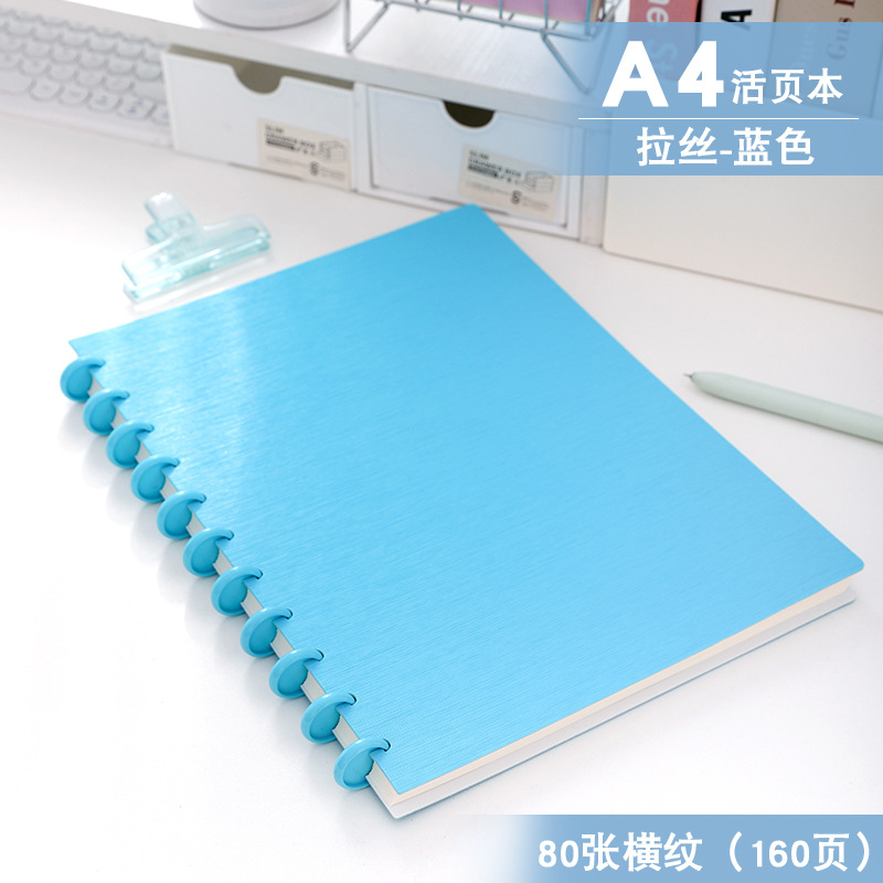 A4 브러시드 블루