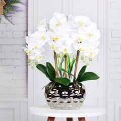 Artificial flower 3D feel glue Phalaenopsis set indoor living room dining room decorative flower ornaments TV cabinet artificial flower ornaments