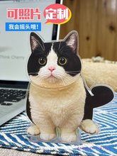 猫咪宠物摇头桌面摆件车载情绪稳定汽车摇摇乐系礼物情侣