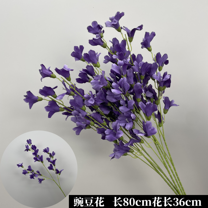 회색 진한 보라색 완두콩 꽃